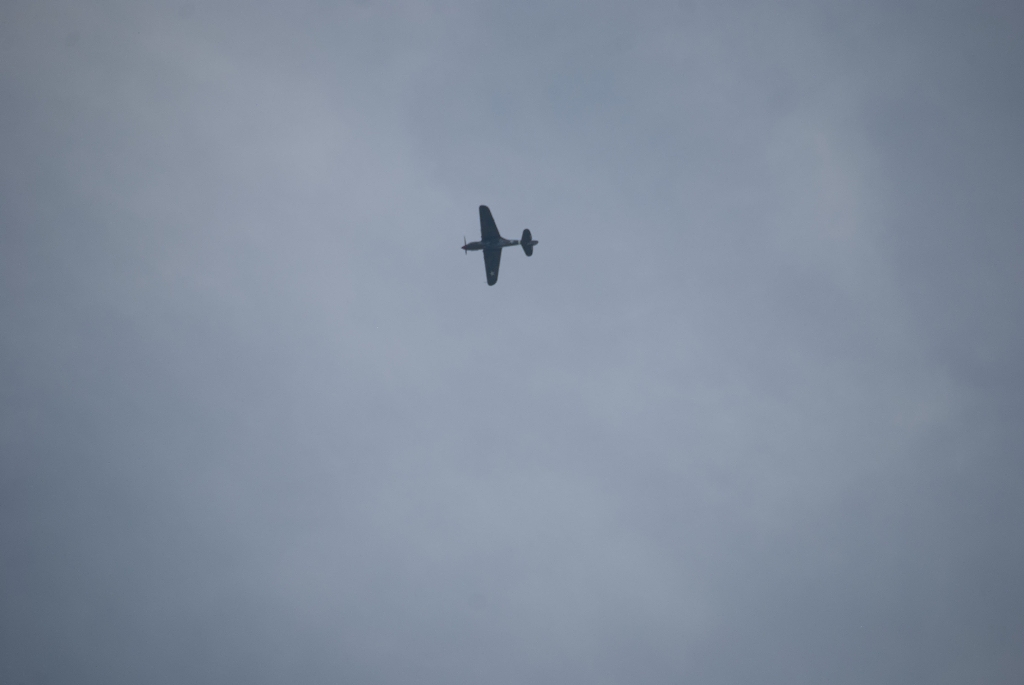 DSC_3578.jpg